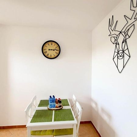 Apartament Apartament Jeleń Hajnówka Zewnętrze zdjęcie